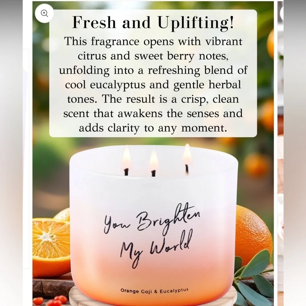 T&H Orange Goji & Eucalyptus Soy Candle 3-Wick - you brightened my World.